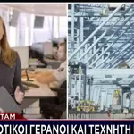 Το Star στο Ρότερνταμ: Ρομποτικοί γερανοί και τεχνητή νοημοσύνη