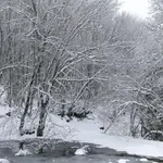 Καιρός: Κρύο και βροχές μέχρι τα Χριστούγεννα – Έρχονται και χιόνια