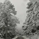 Έρχεται παγωνιά την Πρωτοχρονιά: Χιονοπτώσεις και πολικό ψύχος