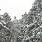 Χιόνια στην Αττική: Διακοπή κυκλοφορίας στη Λεωφόρο Πάρνηθας