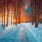 Dnevni horoskop za petek, 2. januarja 2026