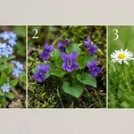 Izberi svojo spomladansko rožo in odkrij, kakšno sporočilo ti prinaša