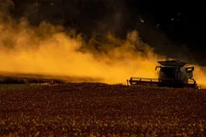 Golob bi kupil pšenico. Kmetje: Država naj plača več od konkurence.