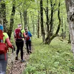 Lani blato, letos sonce: po medvedovih stopinjah v cilj 2.771 pohodnikov