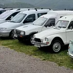 Priljubljeni družinski enoprostorec ima 30 let: na Primorskem so zbrali vse generacije