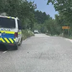 Izsledili in odstrelili nevarnega bika