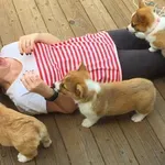 Posnetek ljubkih kužkov in njihovih vragolij