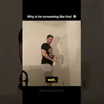 Mačka pred vrati kriči kot zmešana, da jo spusti v sobo