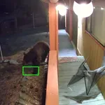 Medo vdre v hišo in izropa hladilnik