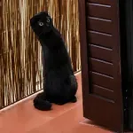 Kako sosedi spremljajo prepir 