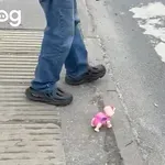 Moški sprehaja igračo psa in to sploh ni čudno?!