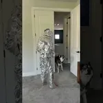 Prekril se je z alu-folijo, reakcija psov pa je bila …