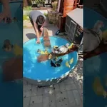Račke imajo svoj mali bazen