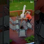 Posneto na varnostni kameri, za umret smešno