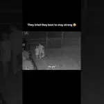 Fantka po temi neseta smeti v zabojnik, potem pa …