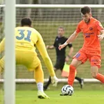 Krilni as ostaja v Celju, pogodba podaljšana za še eno sezono