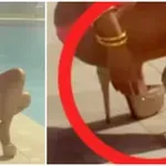 Nicki Minaj Stiletto Challenge: Najopasniji, ali i najviralniji TikTok trend 2025.