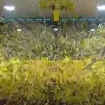 VIDEO / Spektakularne scene iz Grčke: Navijači dvoranu ‘obojili u žuto’