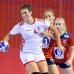 Obrvan uoči SP-a: Pretrpjeli smo puno gubitaka, treba sad to probati posložiti