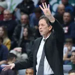 Zadar stigao do 11. pobjede u ABA ligi