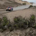 Tragedija na reliju u Argentini: Poginuo jedan gledatelj, dvoje teže ozlijeđeno