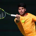 Carlos Alcaraz propušta Roland Garros!