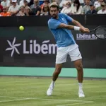 Čilić pobijedio Borgesa i izborio četvrtfinale Hertogenboscha