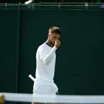 Čilić doživio veliki pad na ATP listi, Prižmić postao najbolji hrvatski tenisač