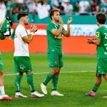 VIDEO / Rapid Beč ‘brojao do osam’ u austrijskoj Bundesligi, pogledajte golove u nevjerojatnoj pobjedi