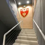 Haos u Crnoj Gori: Tuča, prekid, 10 crvenih, policija…