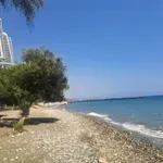 SK na Kipru: Vrelo je, a Zvezda će trenirati u čudnom terminu