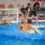 (VIDEO) Večiti derbi, ključaće u Šapcu i Kotoru…