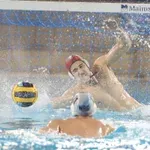 Novi Beograd položio prvi ispit, Glušac u elementu