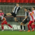 Partizanovo samouništenje