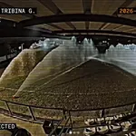 Huligani pod okriljem noći „potopili“ teren u okolini Beograda