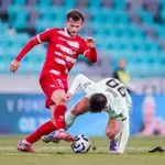 Travnata katastrofa v Stožicah: reprezentanti zgroženi