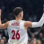 Povratak Nemanje Nedovića