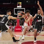 Ima naka tajna veza - Teodosić zove Pajolu u Zvezdu!