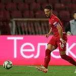 Zvezdina novogodišnja želja - Strahinja Eraković?