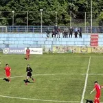 Majstori "upucali" sokolove