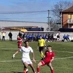 Zvezda sigurna u Dobanovcima za plasman u četvrtfinale Kupa Srbije