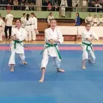 Više od 350 karatista na Prvenstvu Vojvodine u Novom Bečeju