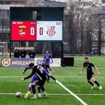 Grafičaru kiselo vino iz Vršačkih vinograda