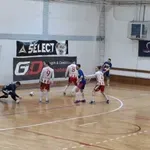 Povratak šampiona, Zvezda eliminisala Hram i izborila elitni rang