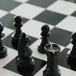 Završen 19. Festival mladih šahista Srbije na Paliću