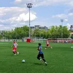 Omladinska liga Srbije: Crvena zvezda posle overe titule remizirala sa Vojvodinom