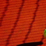 Marjan Nikolić iz Brusa osvojio SPIN Open, preokretom u finalu savladao Bekčića