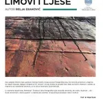 Limovi i ljese