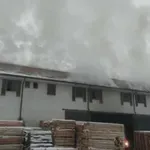 Pljevlja: Požar u pogonu za preradu drveta