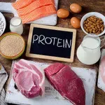 Popularan način ishrane: Jesu li dijete s visokim udjelom proteina sigurne